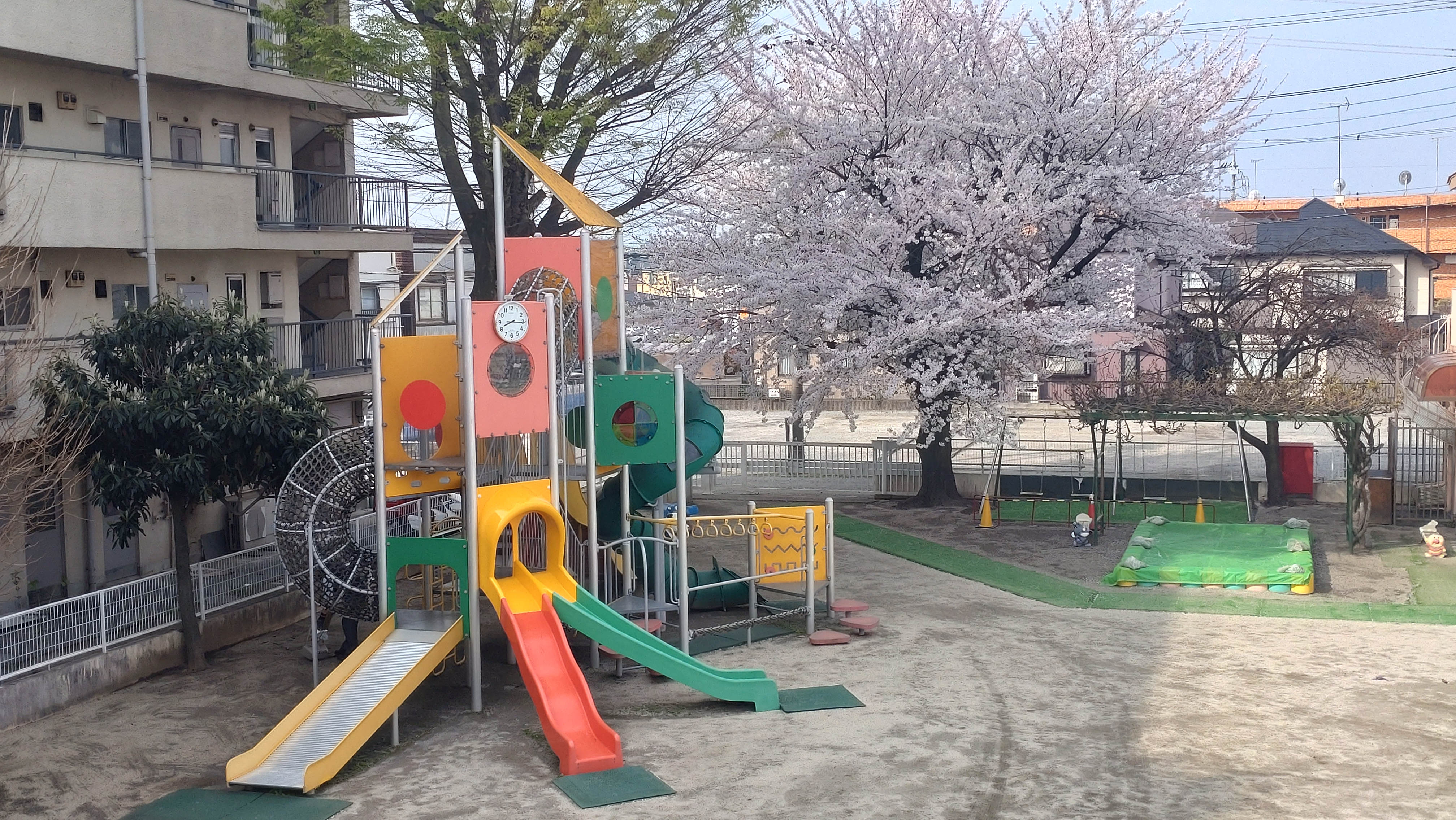 園庭の遊具と桜