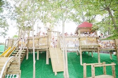 カナリヤこども園　園庭４